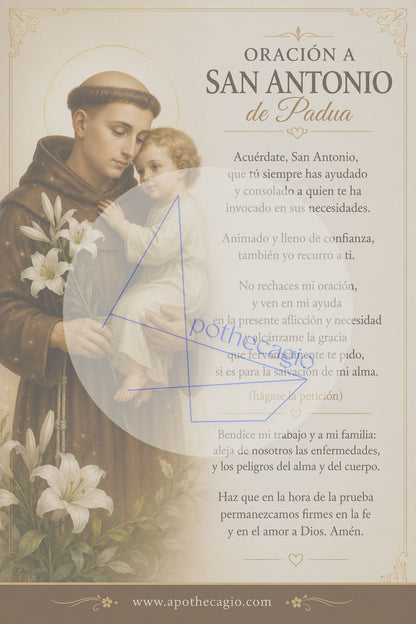 San Antonio de Padua - Oración