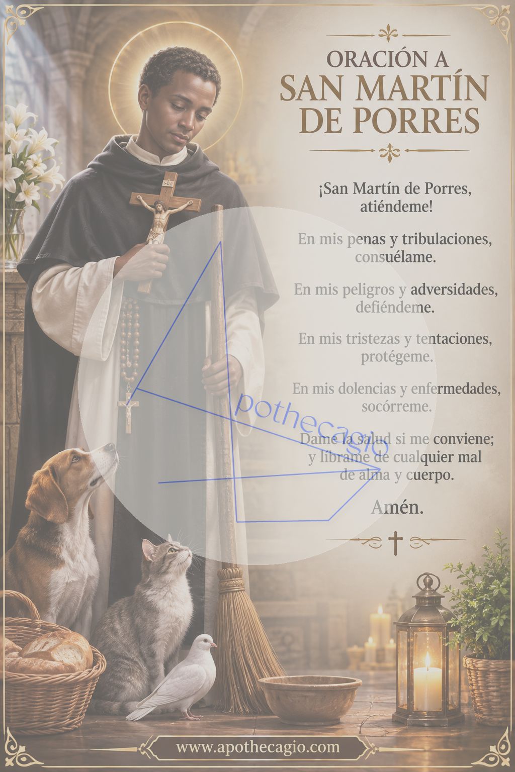 San Martín de Porres - Oración