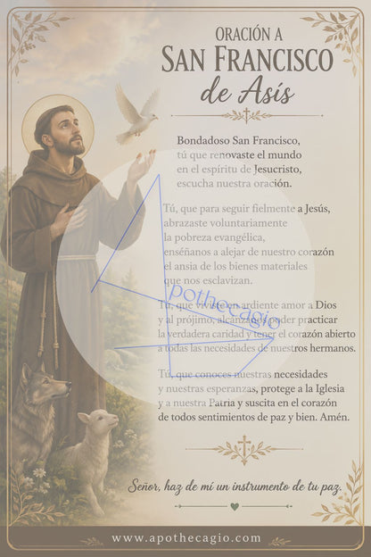 San Francisco de Asís - Oración